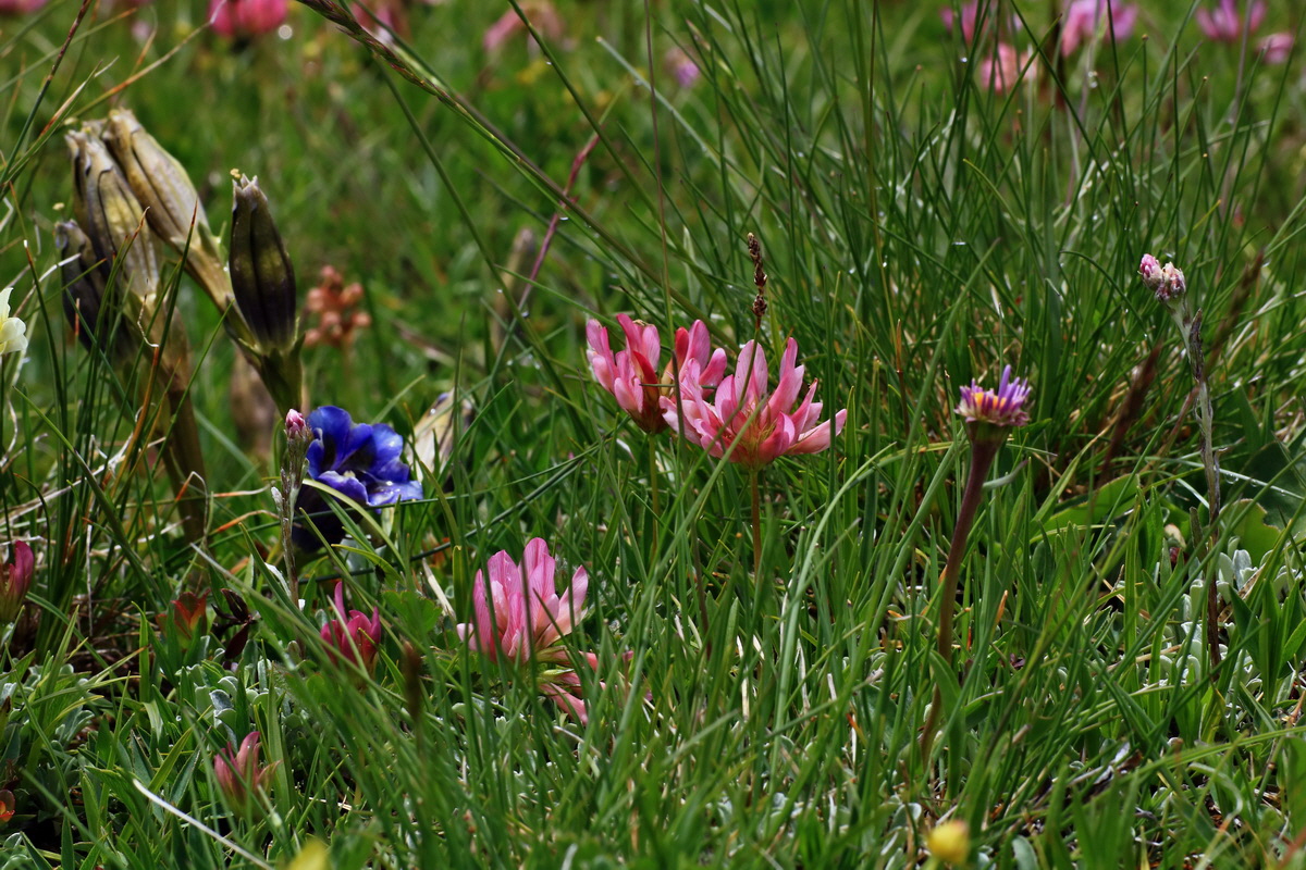 2015_06_16_003388p_Bildgr��e �ndern