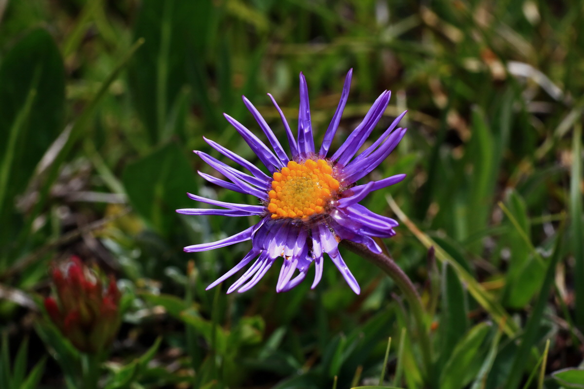 2015_06_16_003390p_Bildgr��e �ndern