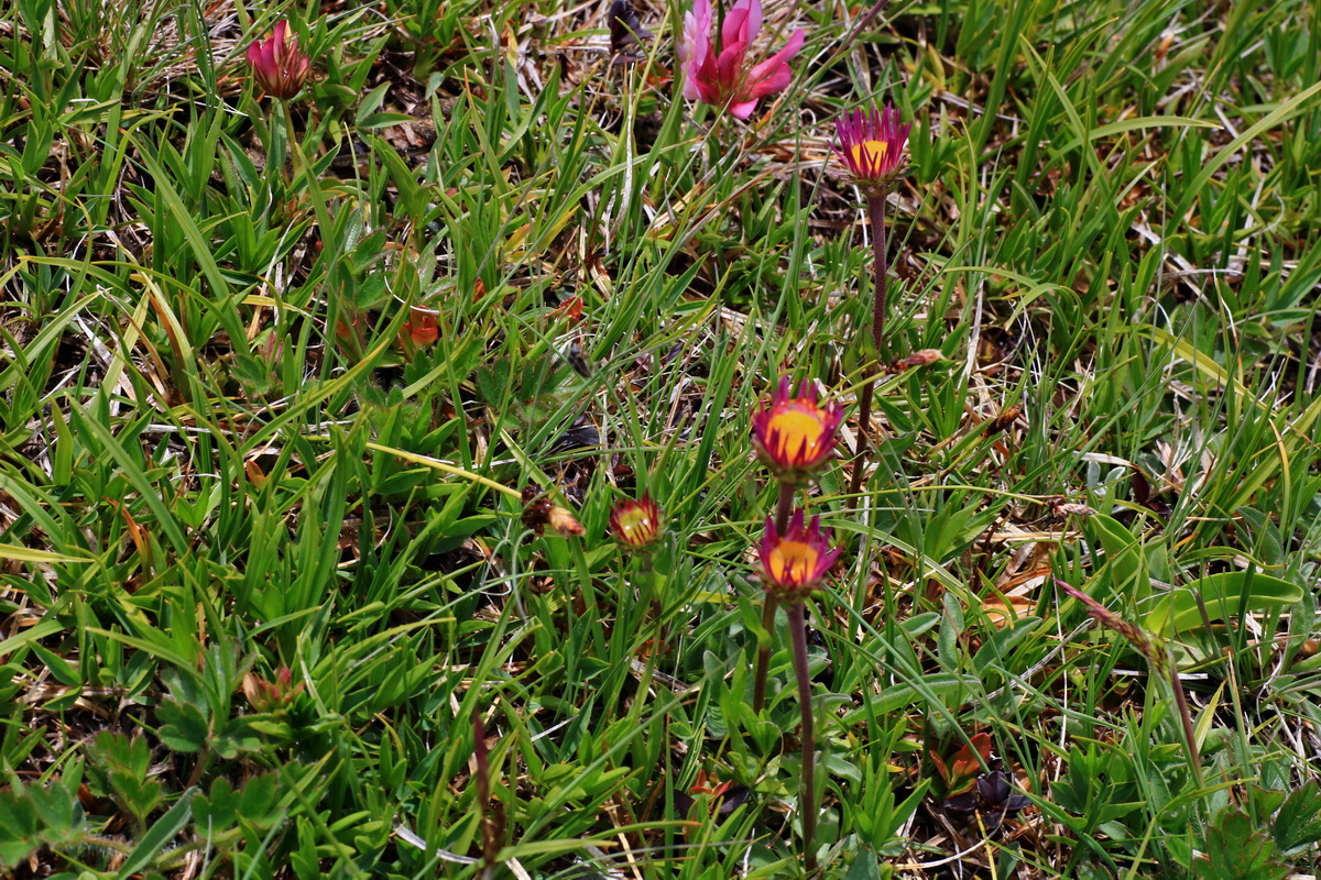 2015_06_16_003393p_Bildgr��e �ndern