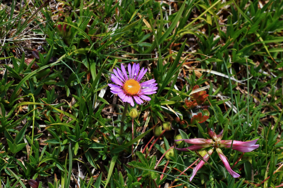 2015_06_16_003395p_Bildgr��e �ndern