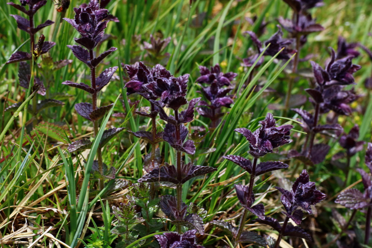 2015_06_16_003401p_Bildgr��e �ndern