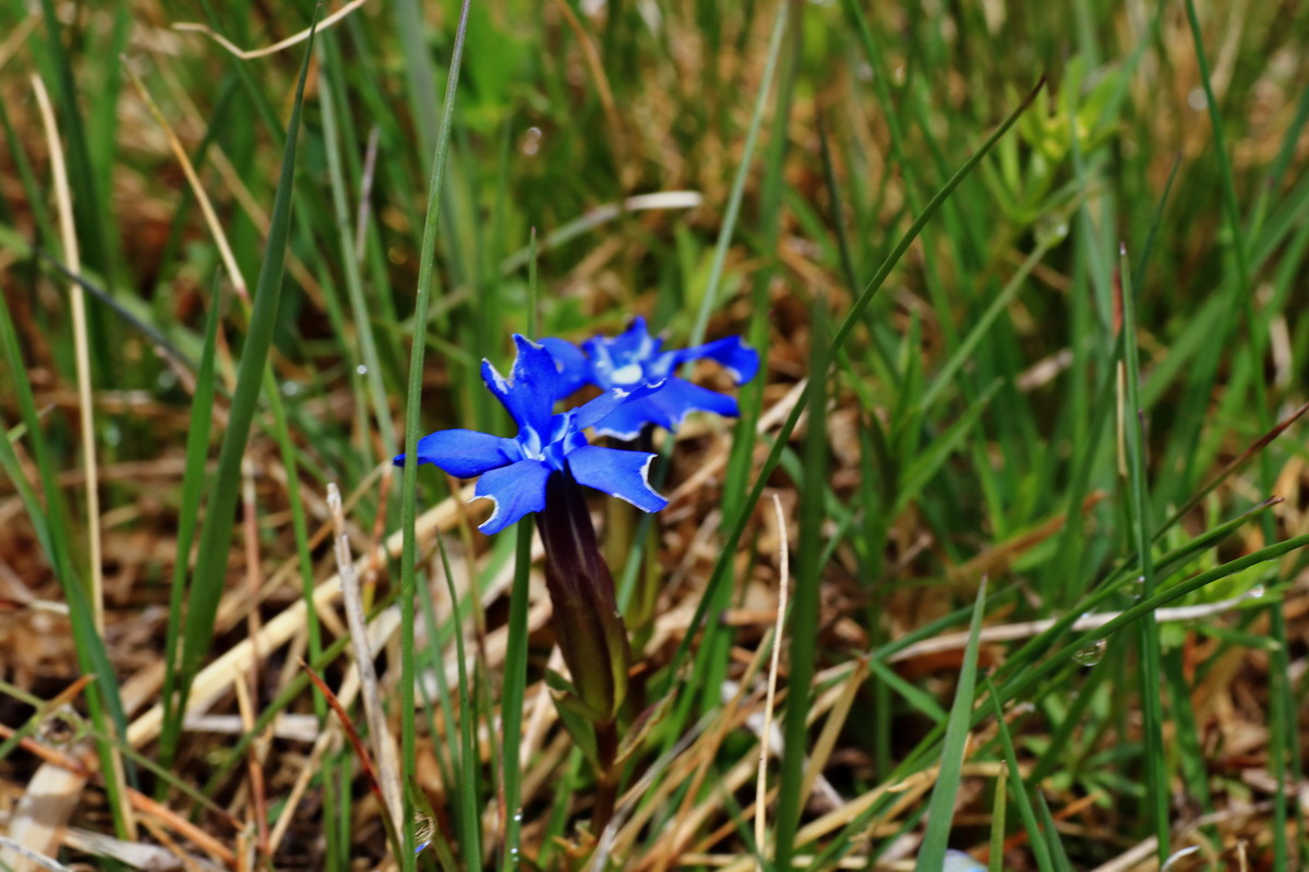 2015_06_16_003406p_Bildgr��e �ndern