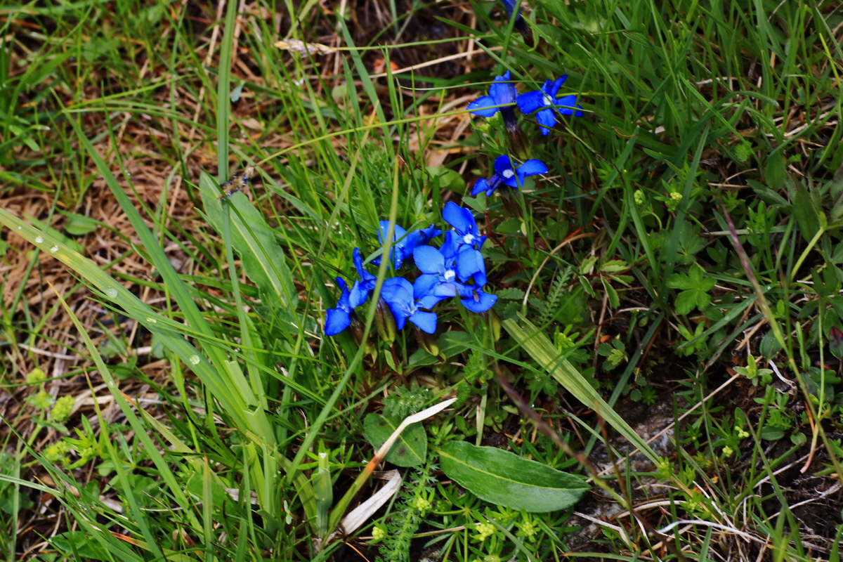 2015_06_16_003408p_Bildgr��e �ndern