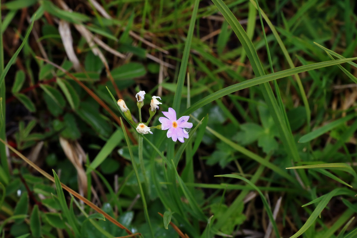 2015_06_16_003411p_Bildgr��e �ndern