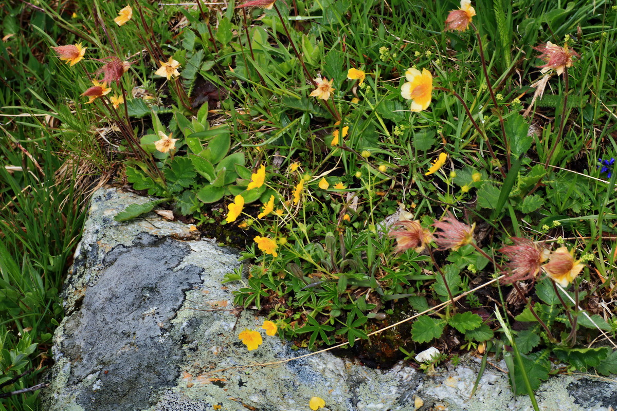 2015_06_16_003414p_Bildgr��e �ndern