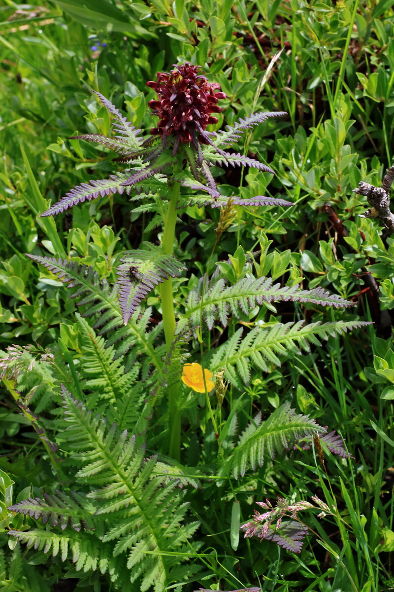 2015_06_16_003416p_Bildgr��e �ndern