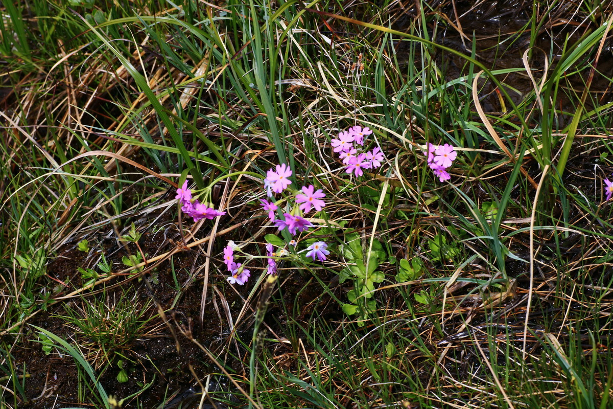 2015_06_16_003430p_Bildgr��e �ndern