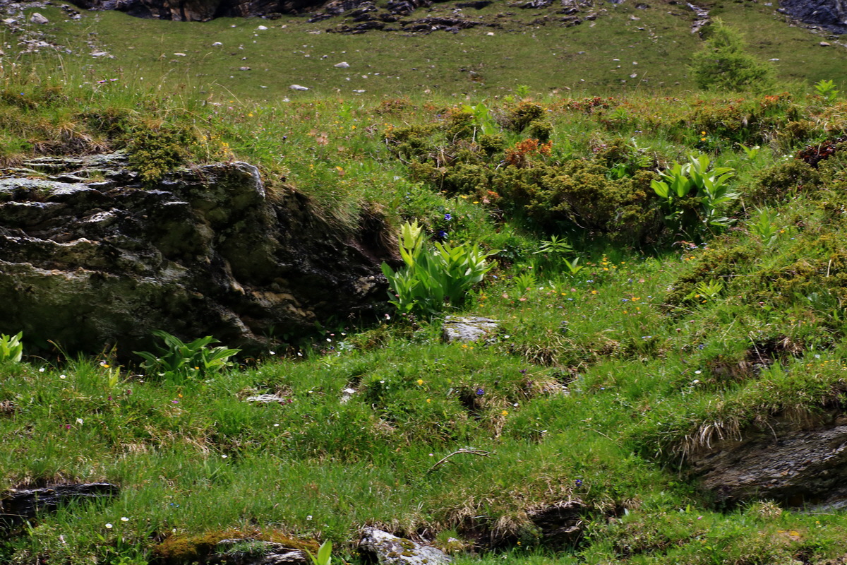 2015_06_16_003435p_Bildgr��e �ndern