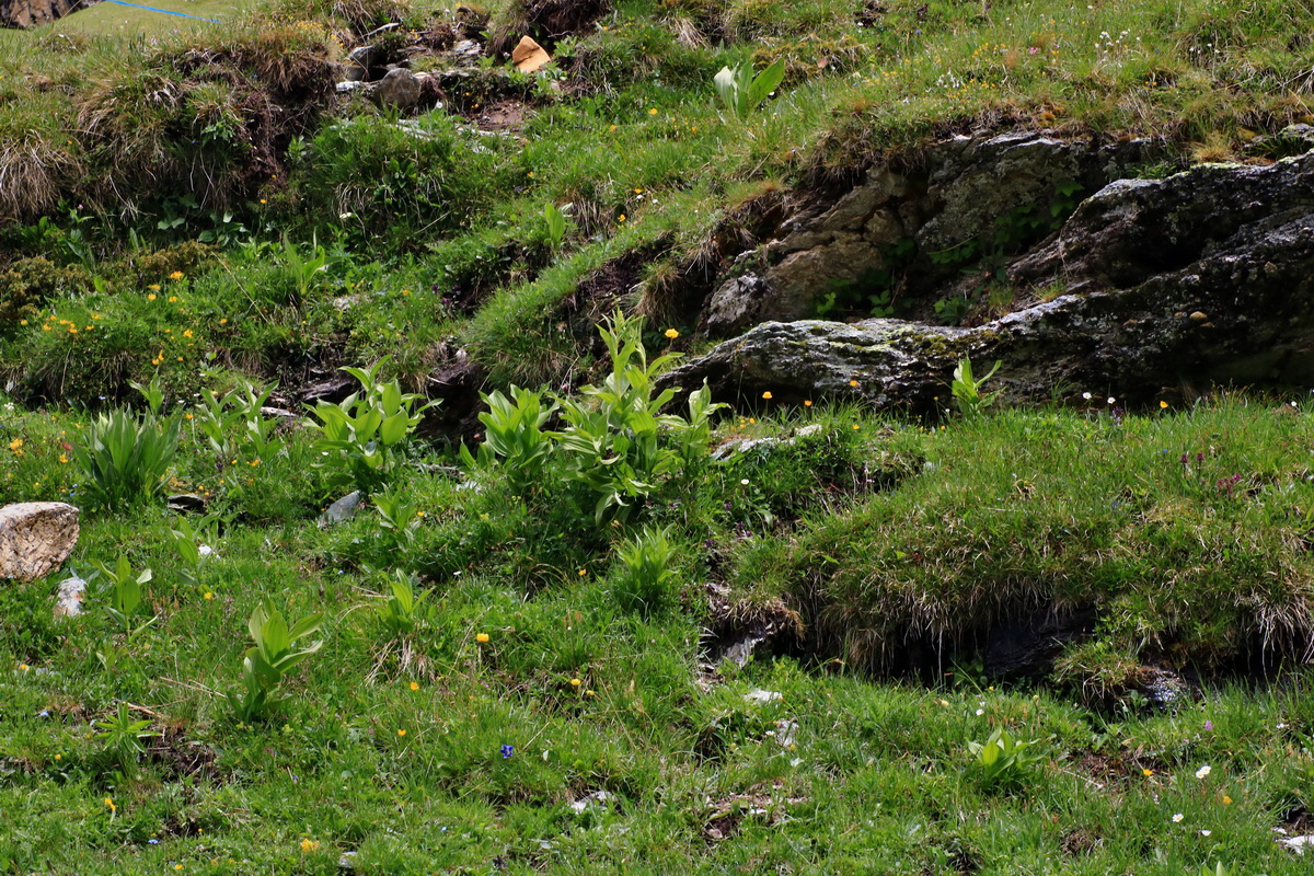 2015_06_16_003436p_Bildgr��e �ndern