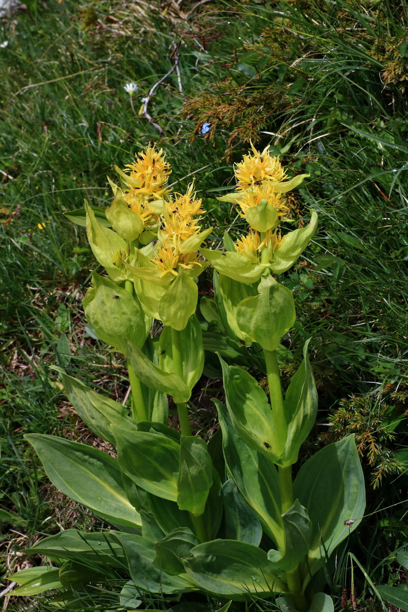 2015_06_16_003438p_Bildgr��e �ndern