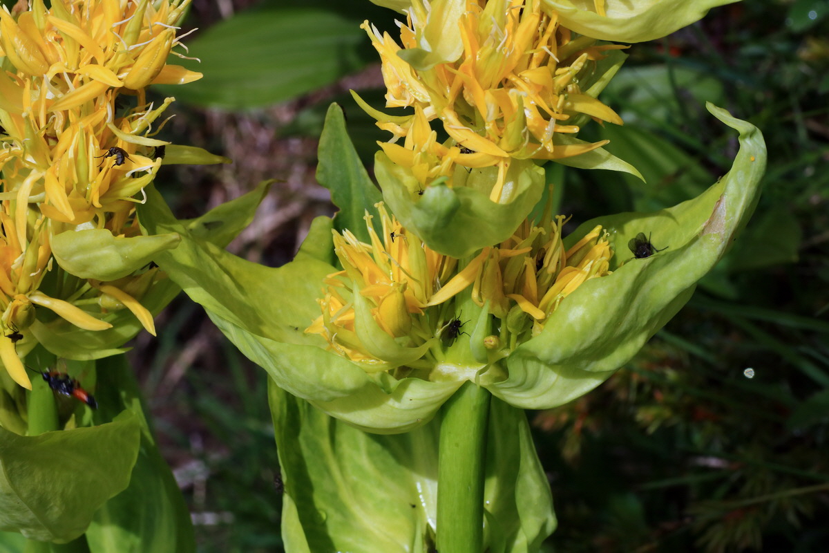 2015_06_16_003442p_Bildgr��e �ndern