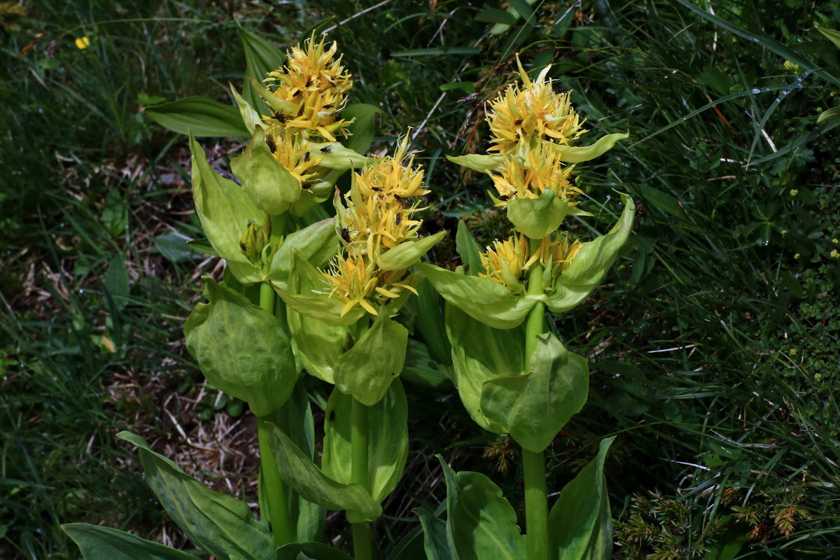 2015_06_16_003446p_Bildgr��e �ndern