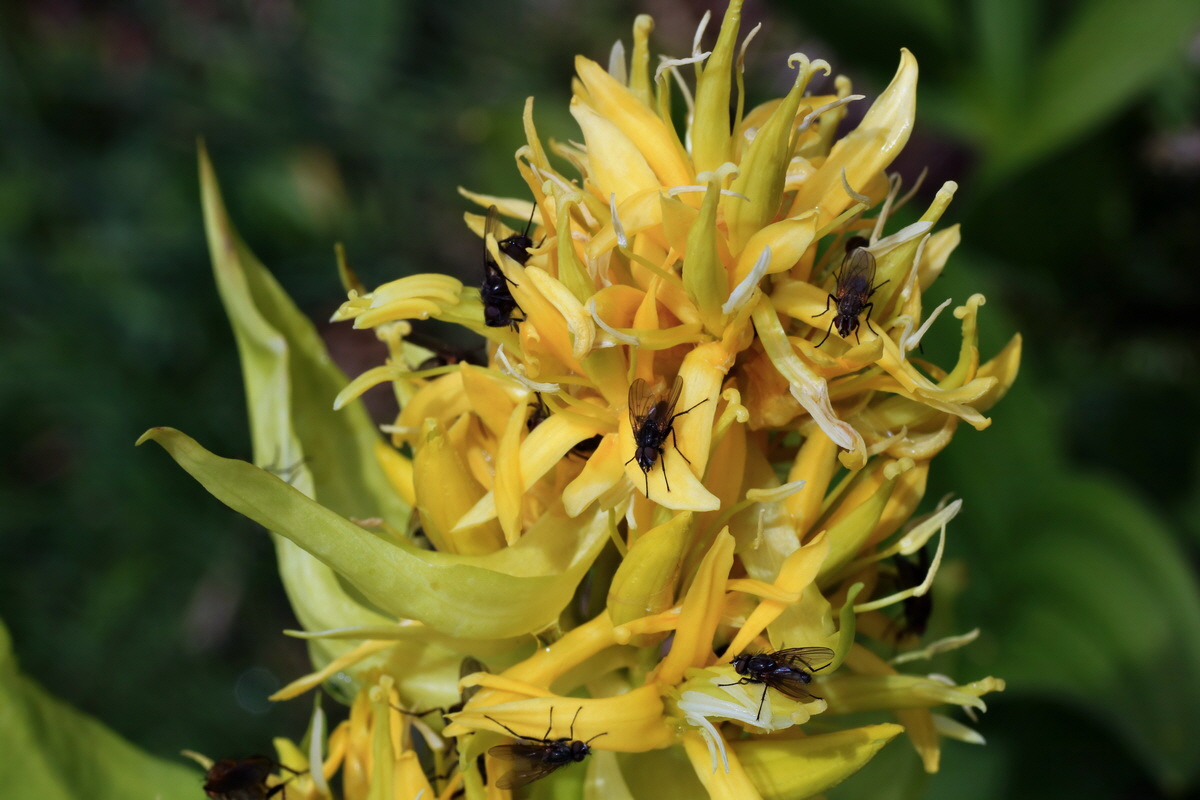 2015_06_16_003448p_Bildgr��e �ndern