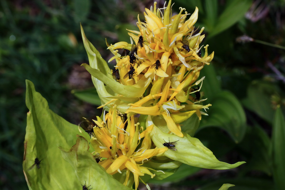 2015_06_16_003450p_Bildgr��e �ndern