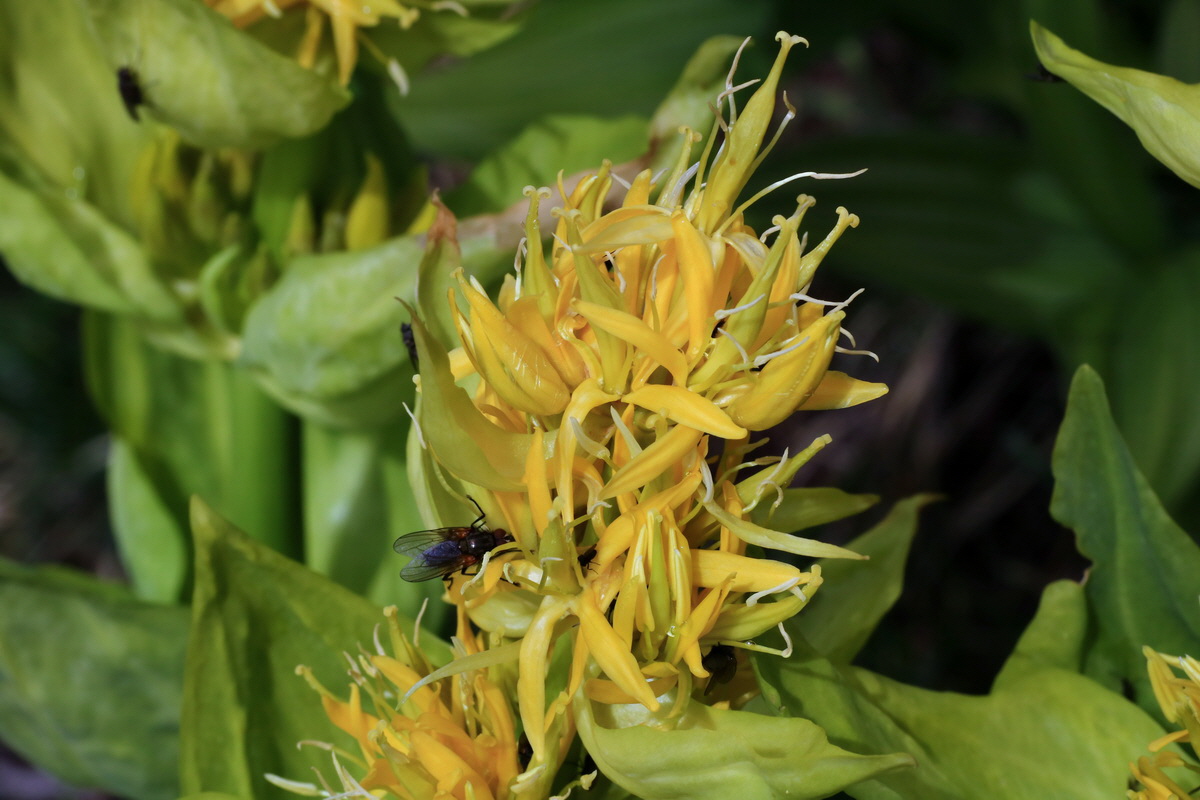 2015_06_16_003453p_Bildgr��e �ndern