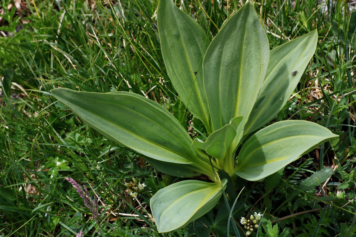 2015_06_16_003454p_Bildgr��e �ndern