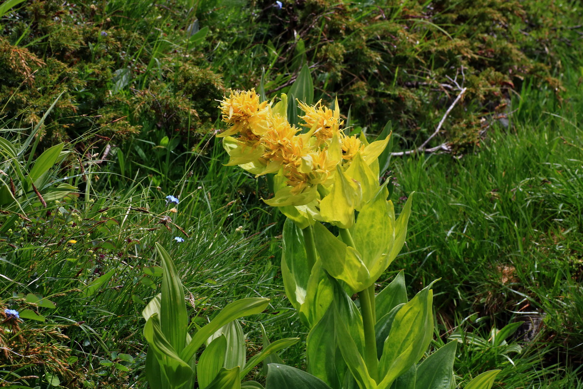 2015_06_16_003457p_Bildgr��e �ndern