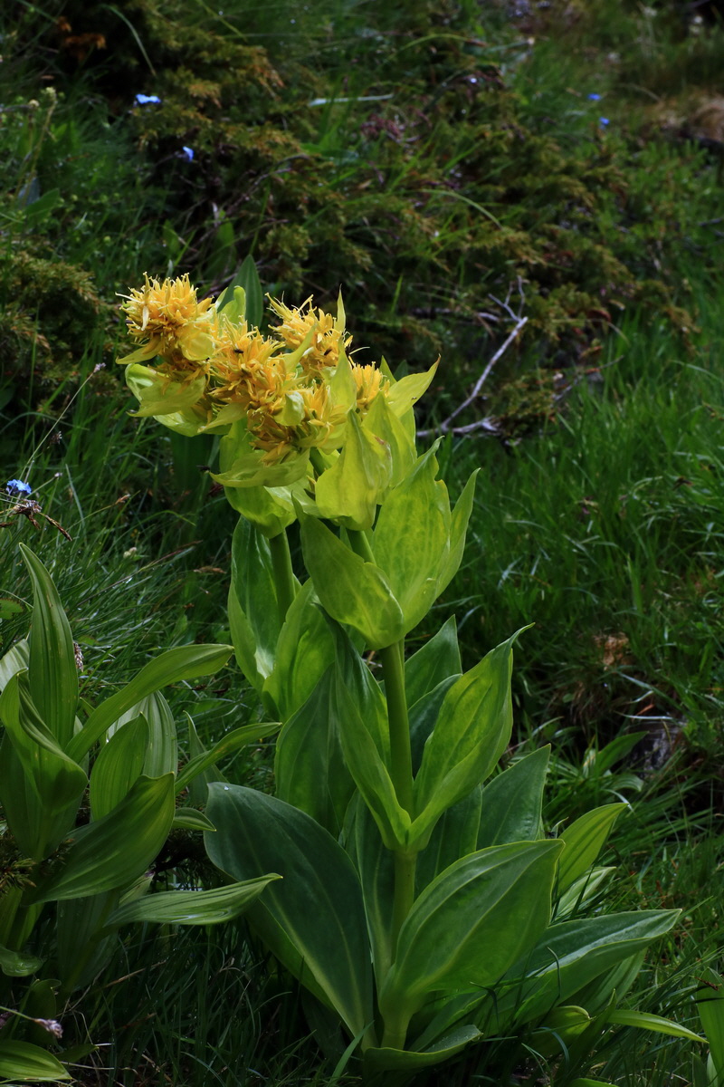 2015_06_16_003463p_Bildgr��e �ndern