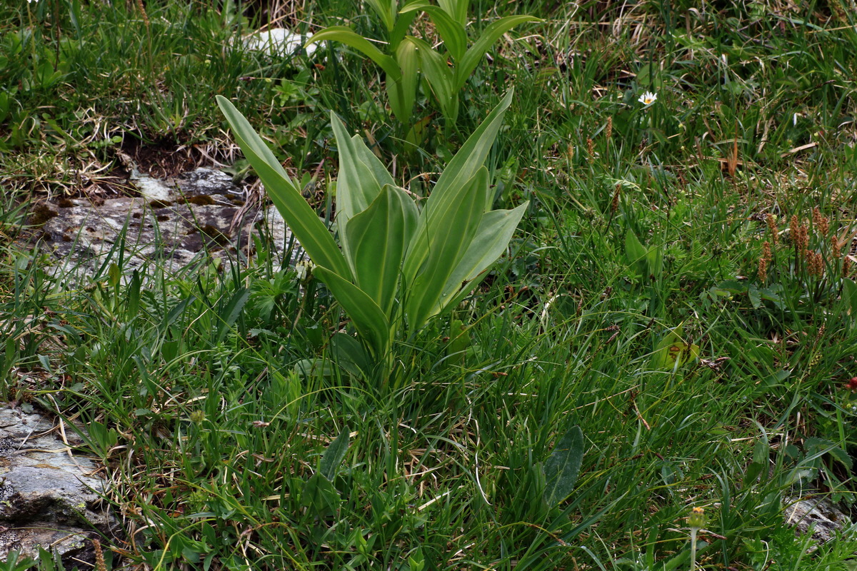 2015_06_16_003464p_Bildgr��e �ndern