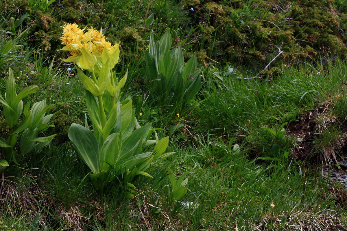 2015_06_16_003466p_Bildgr��e �ndern