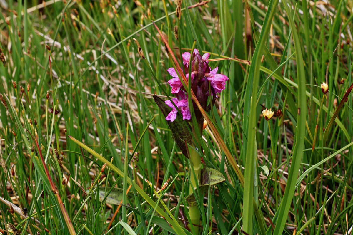 2015_06_16_003468p_Bildgr��e �ndern