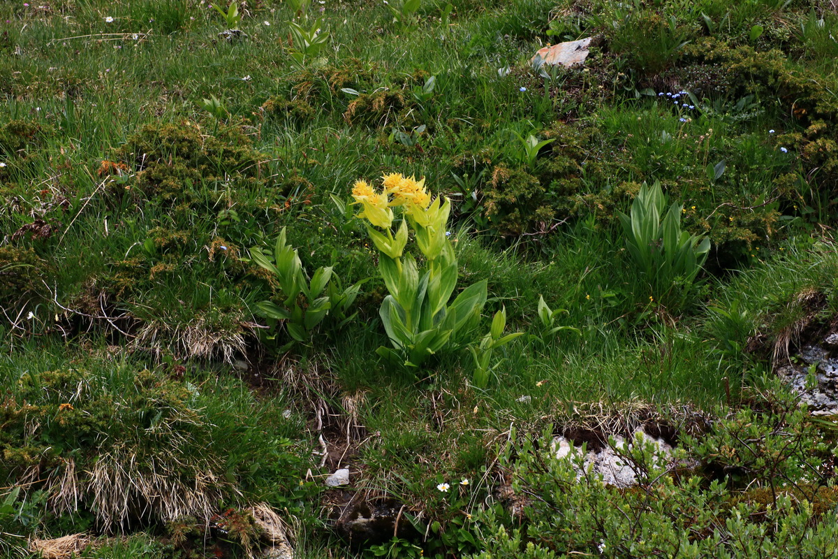 2015_06_16_003471p_Bildgr��e �ndern