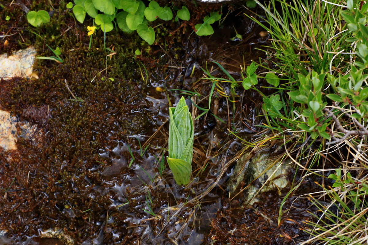 2015_06_16_003475p_Bildgr��e �ndern