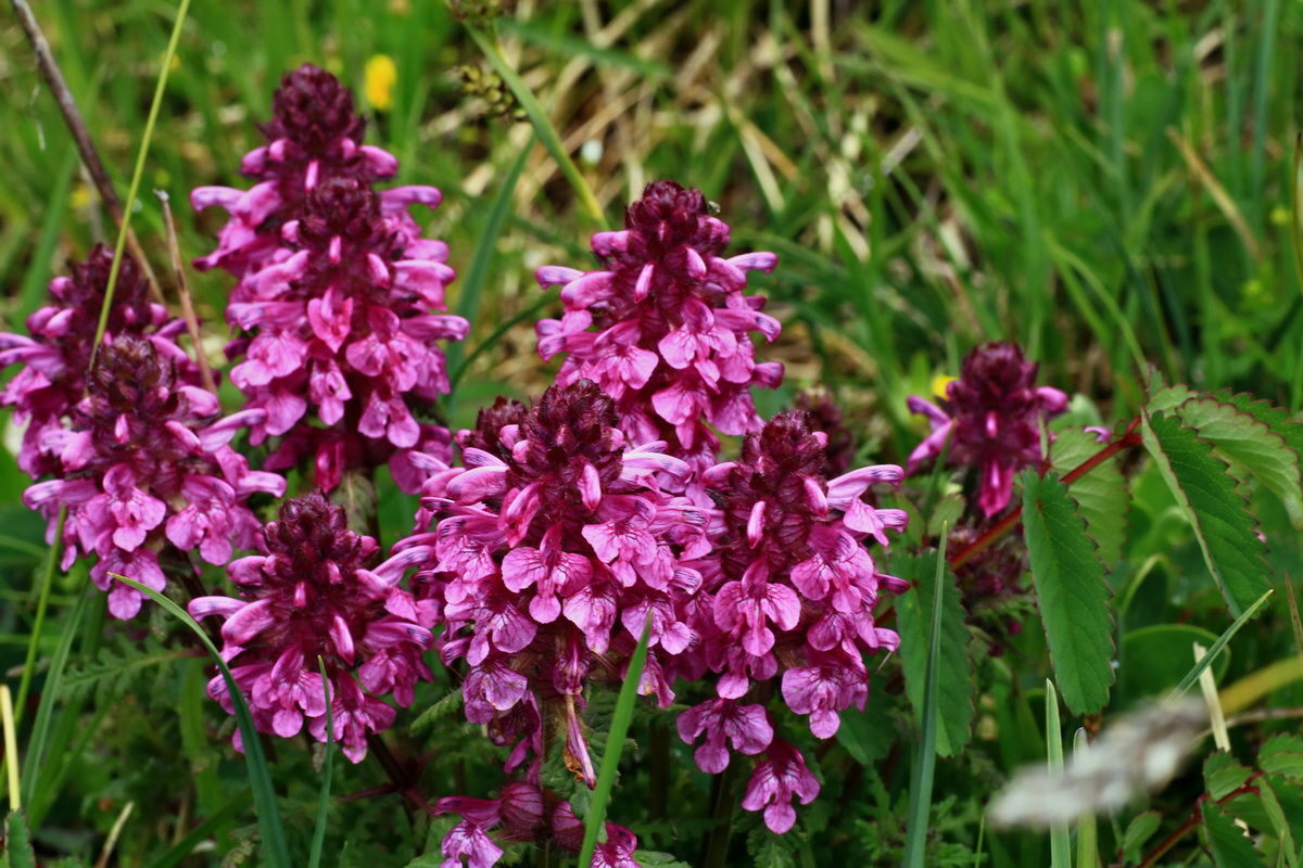 2015_06_16_003480p_Bildgr��e �ndern