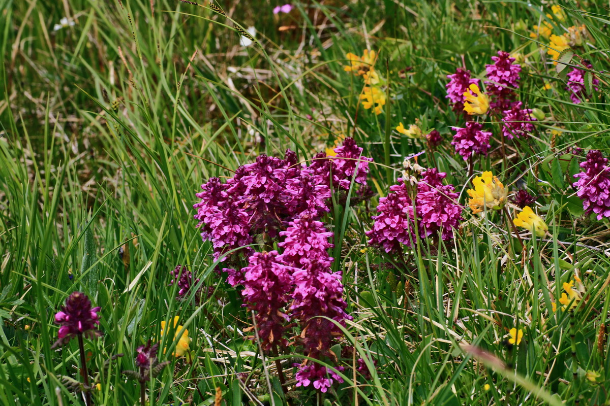 2015_06_16_003482p_Bildgr��e �ndern