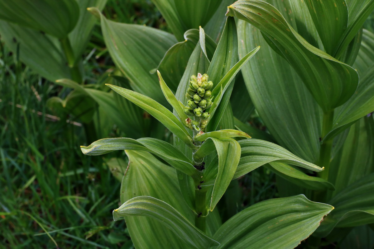 2015_06_16_003485p_Bildgr��e �ndern