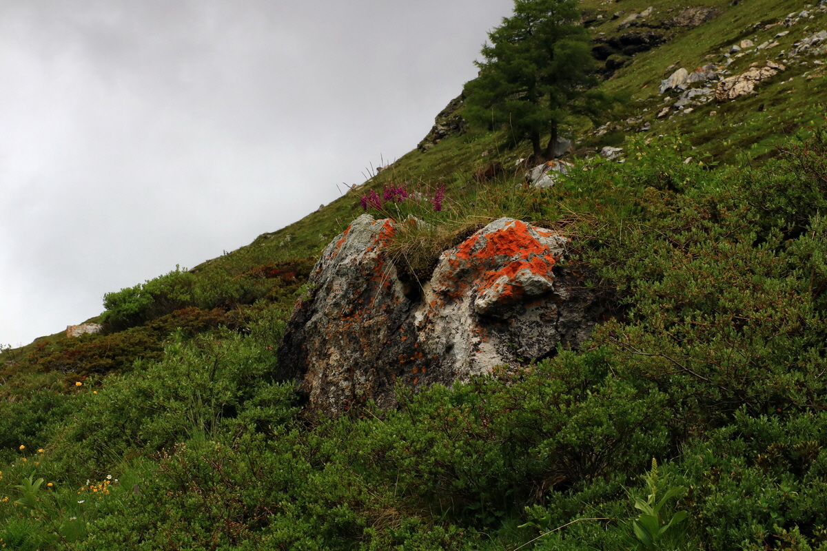 2015_06_16_003490p_Bildgr��e �ndern