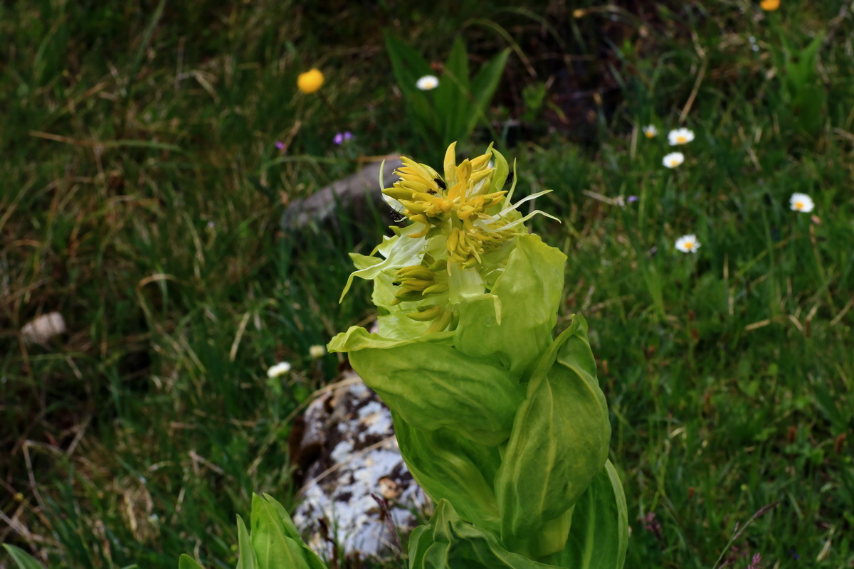 2015_06_16_003491p_Bildgr��e �ndern