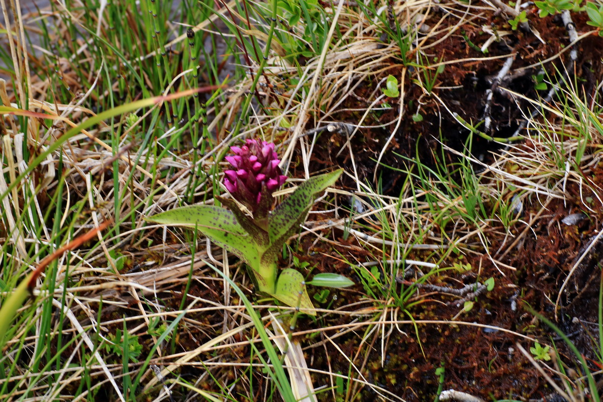 2015_06_16_003499p_Bildgr��e �ndern