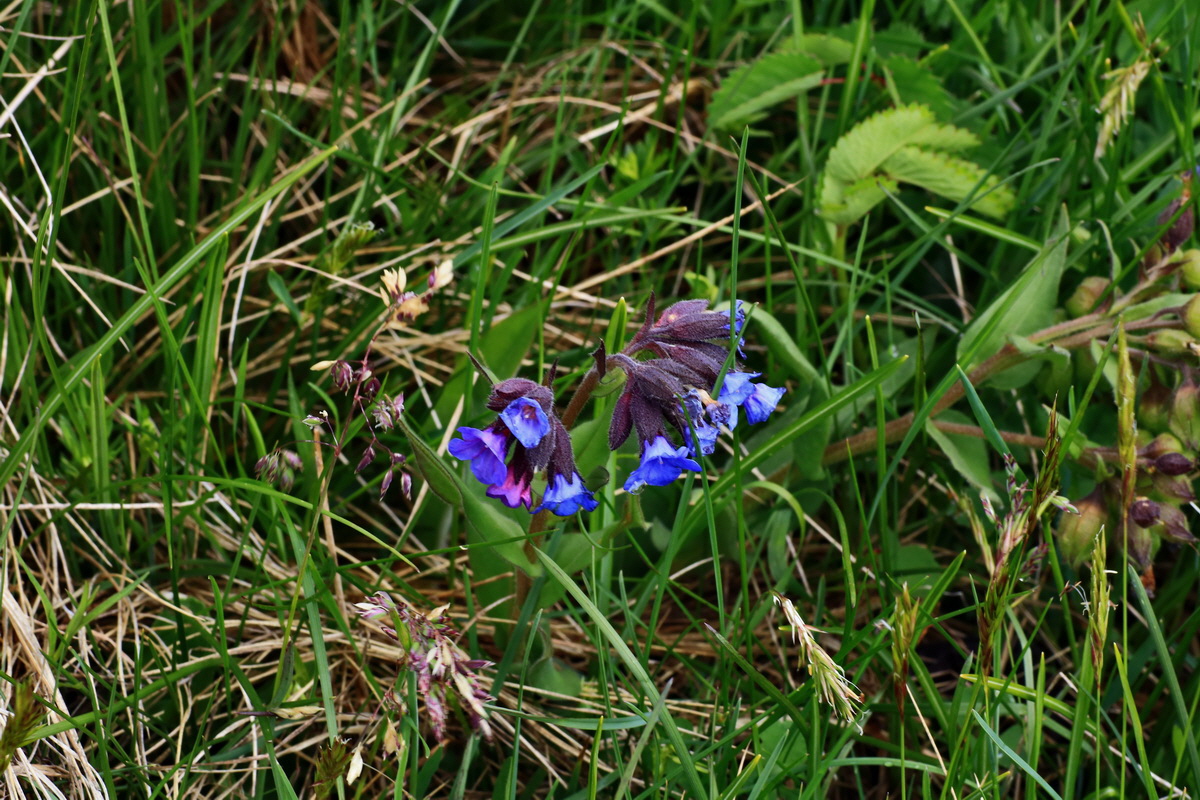 2015_06_16_003503p_Bildgr��e �ndern