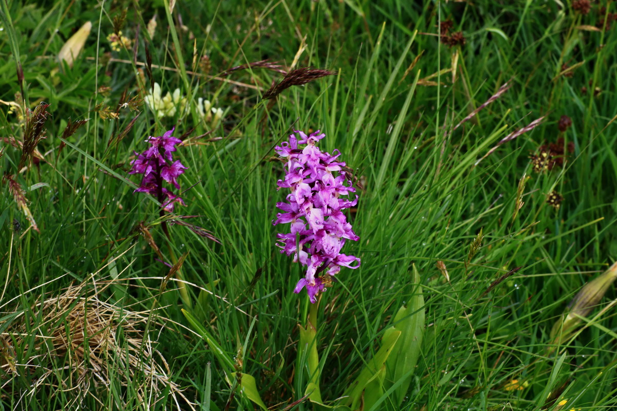 2015_06_16_003506p_Bildgr��e �ndern