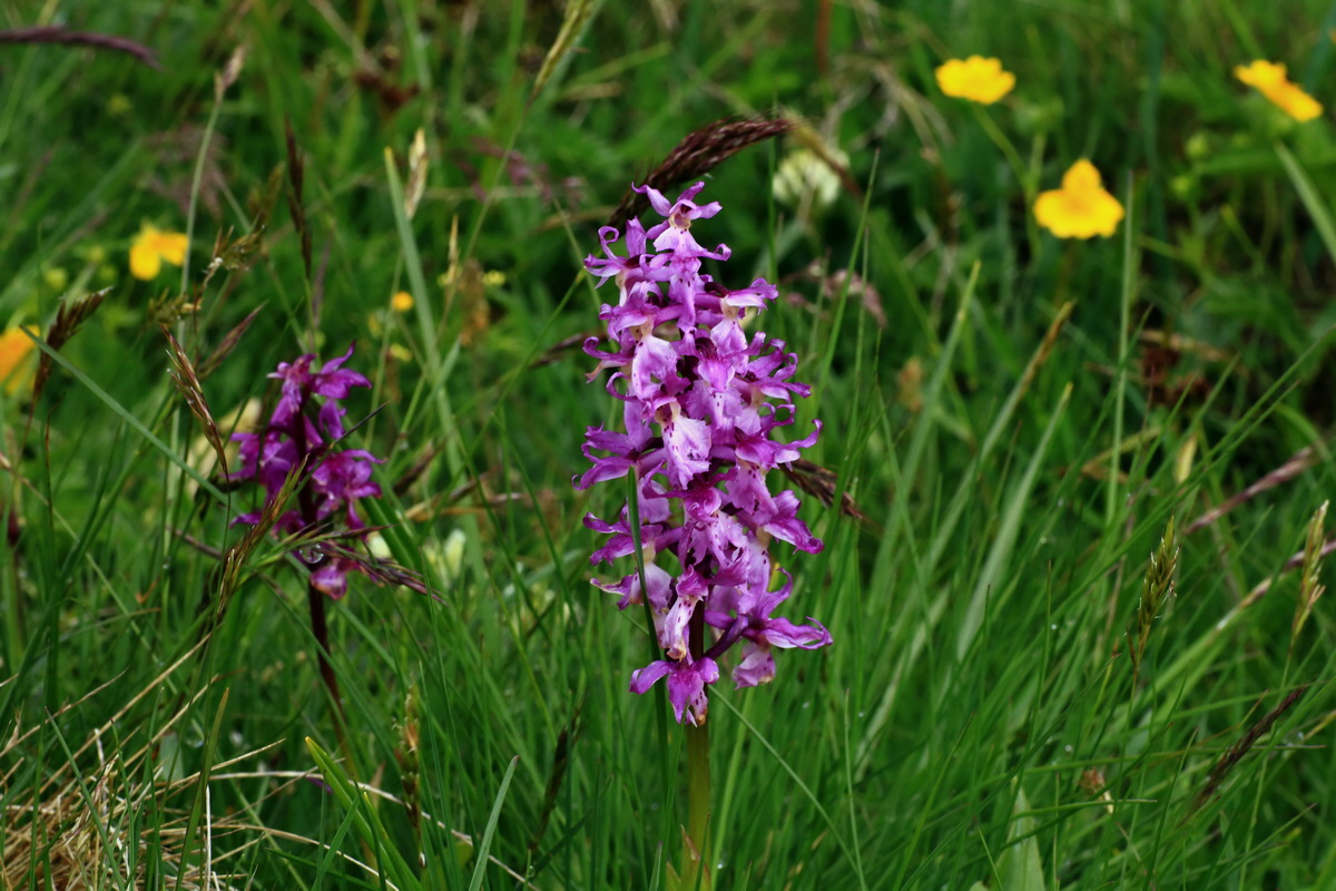 2015_06_16_003508p_Bildgr��e �ndern