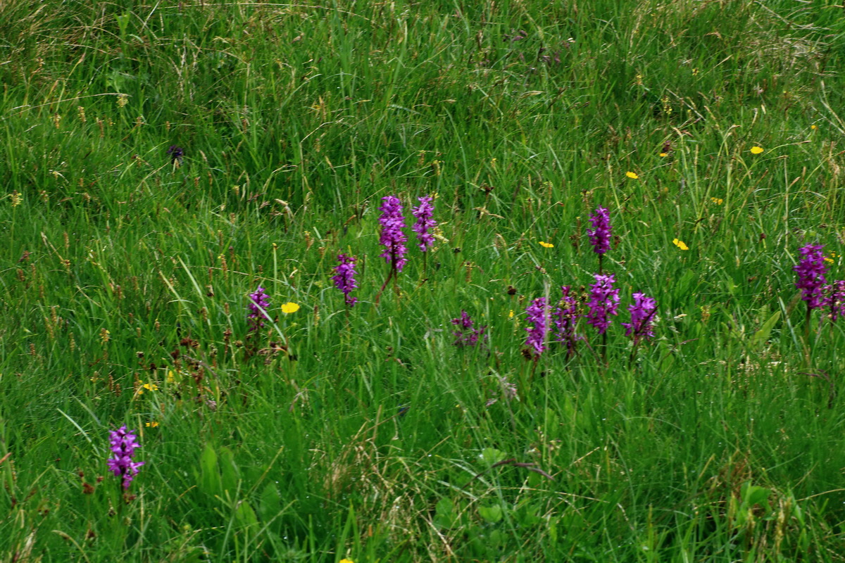 2015_06_16_003512p_Bildgr��e �ndern