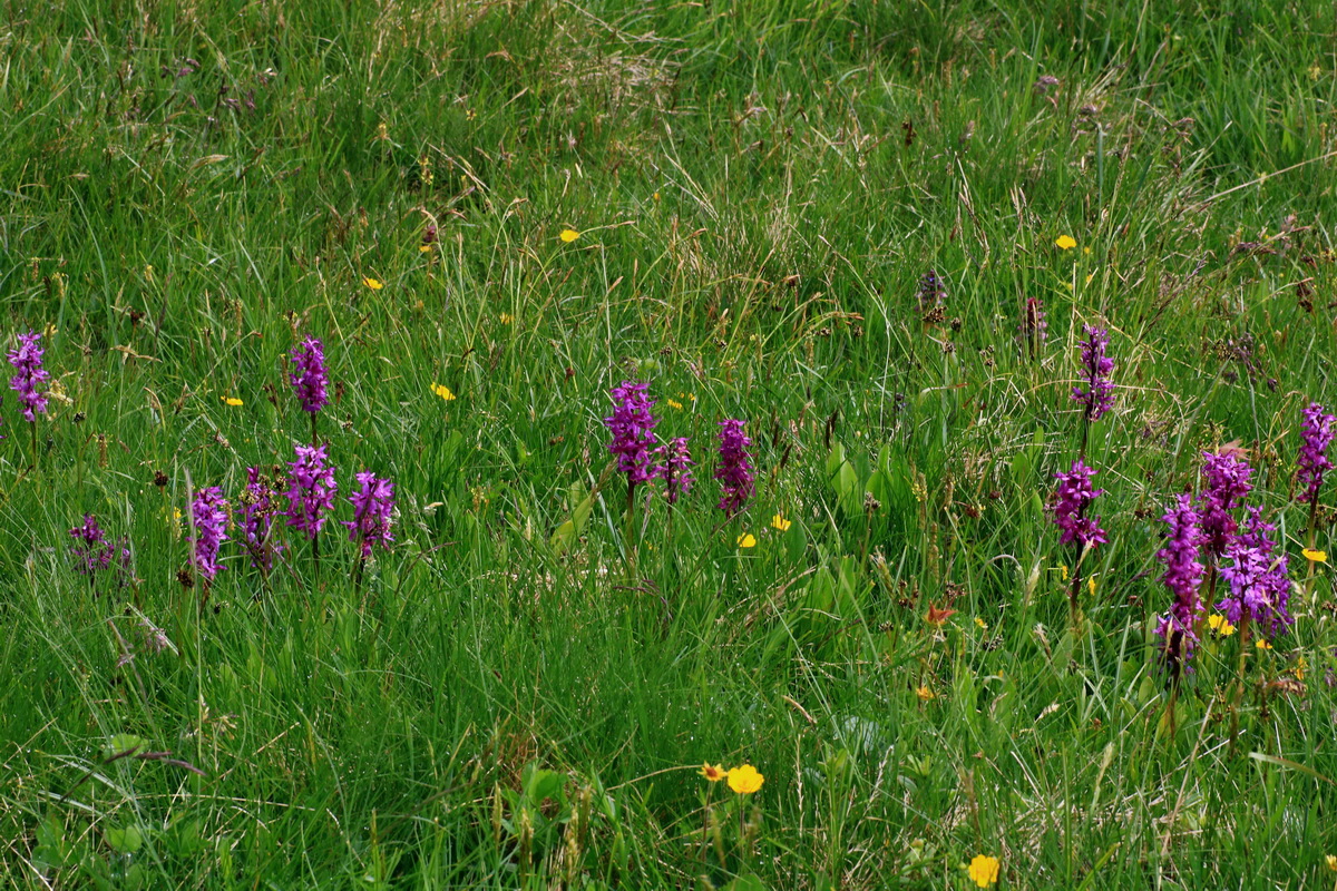 2015_06_16_003513p_Bildgr��e �ndern