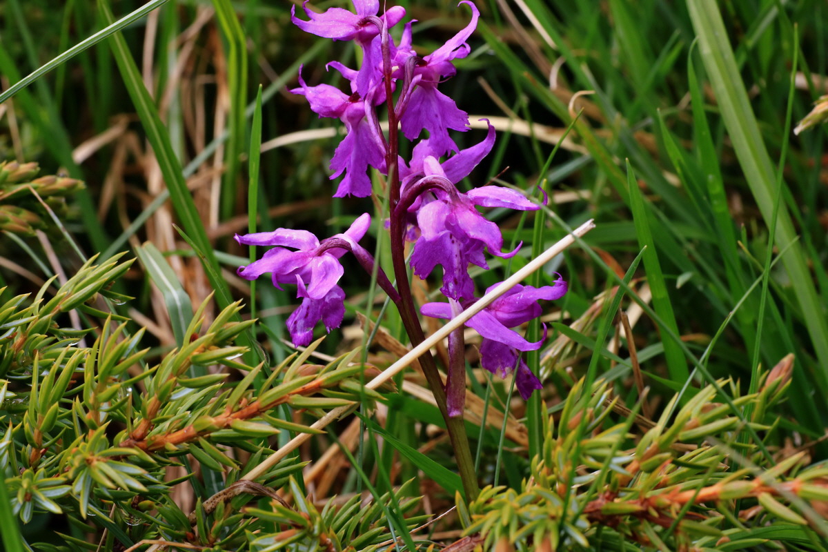 2015_06_16_003523p_Bildgr��e �ndern