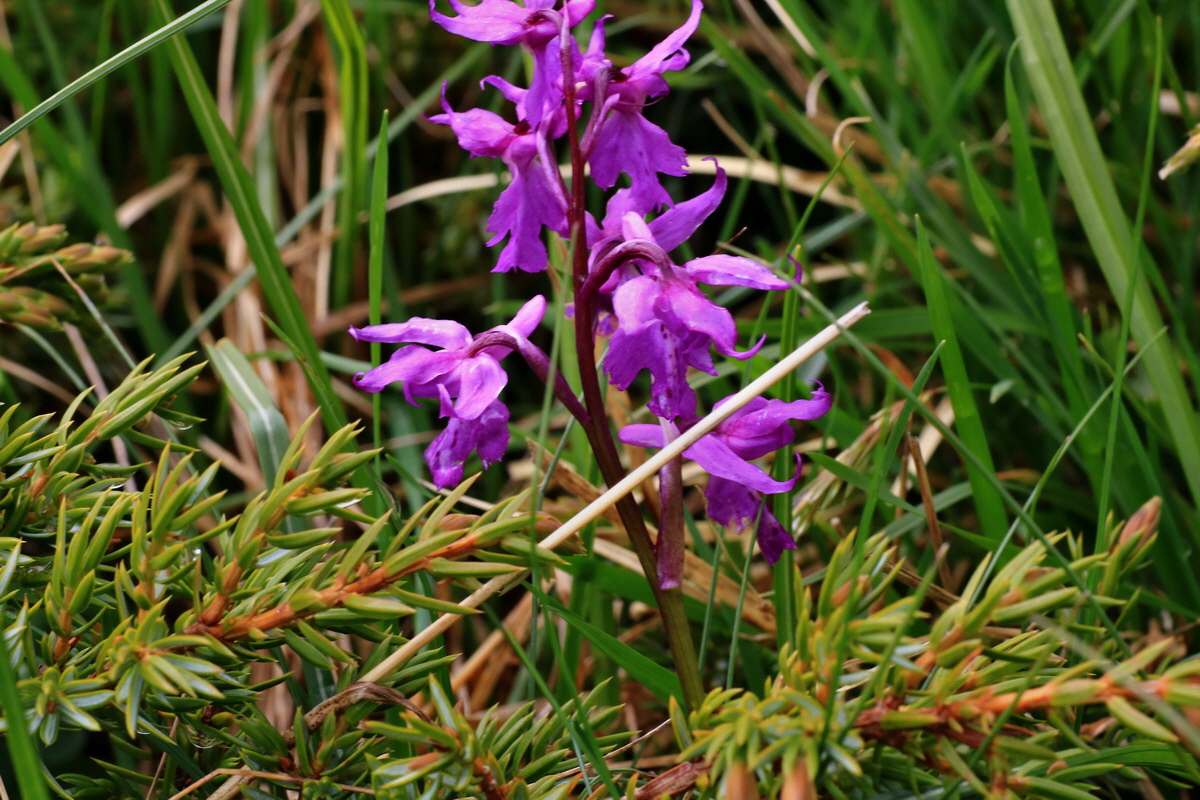 2015_06_16_003524p_Bildgr��e �ndern