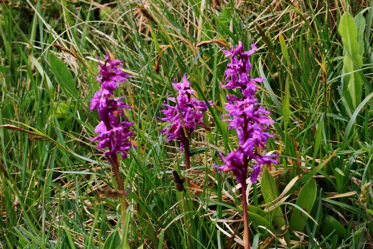 2015_06_16_003526p_Bildgr��e �ndern