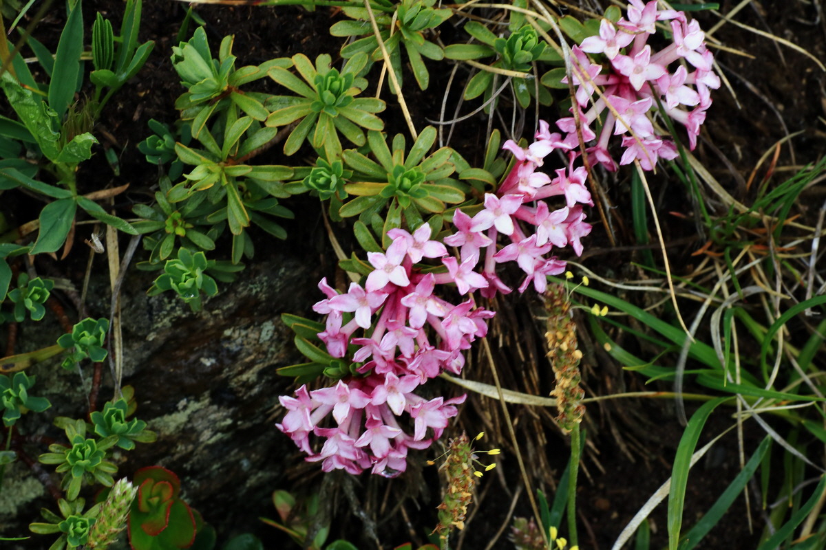 2015_06_16_003539p_Bildgr��e �ndern