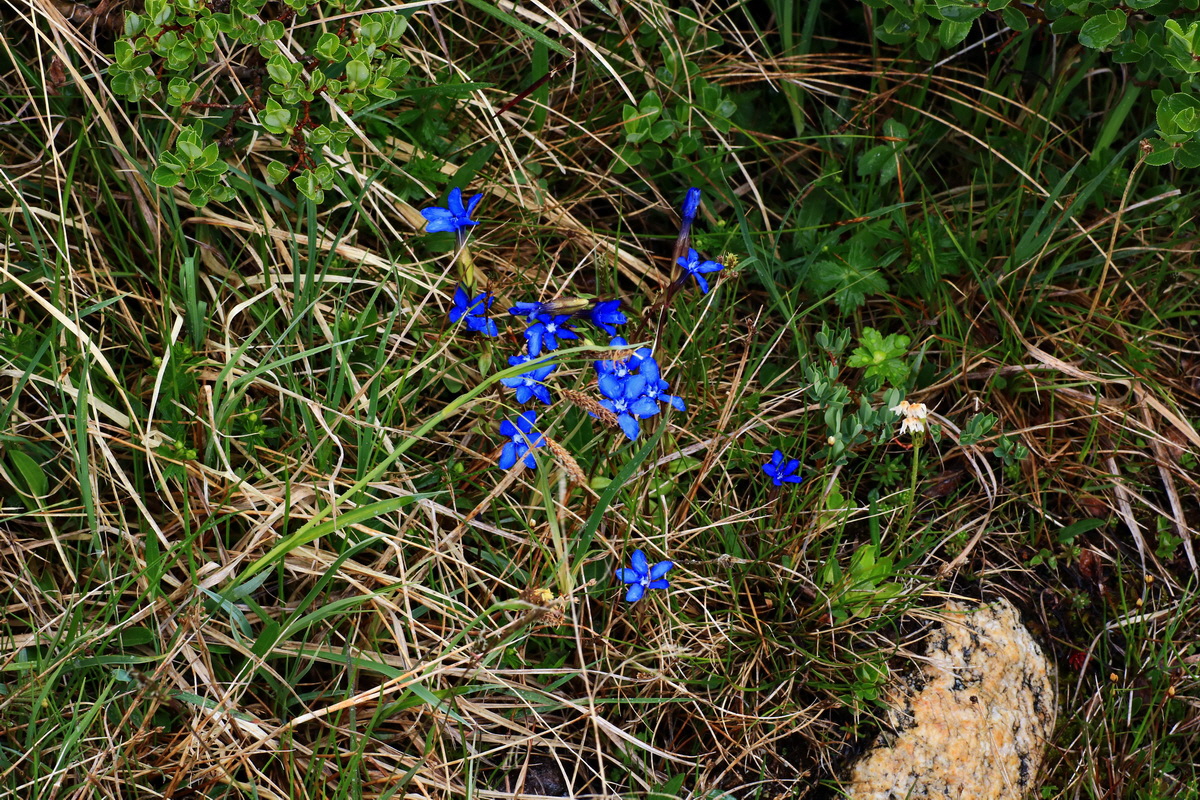 2015_06_16_003541p_Bildgr��e �ndern