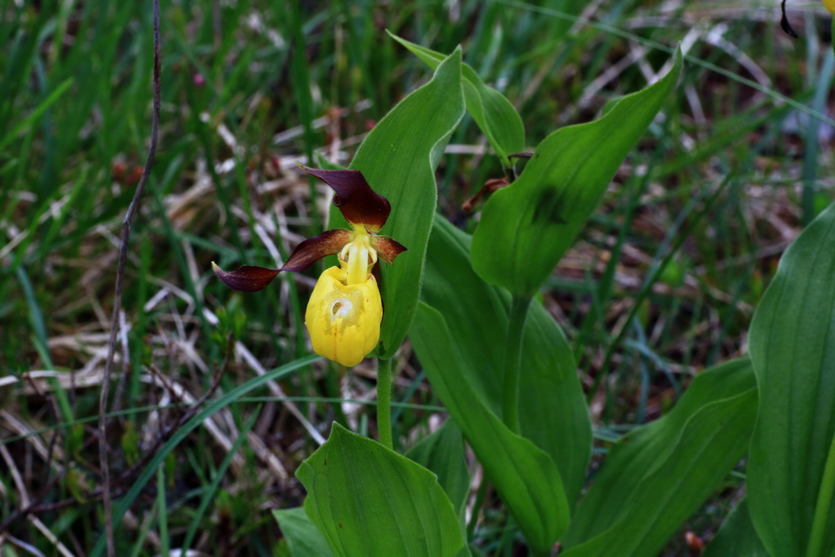 2015_06_16_003545p_Bildgr��e �ndern