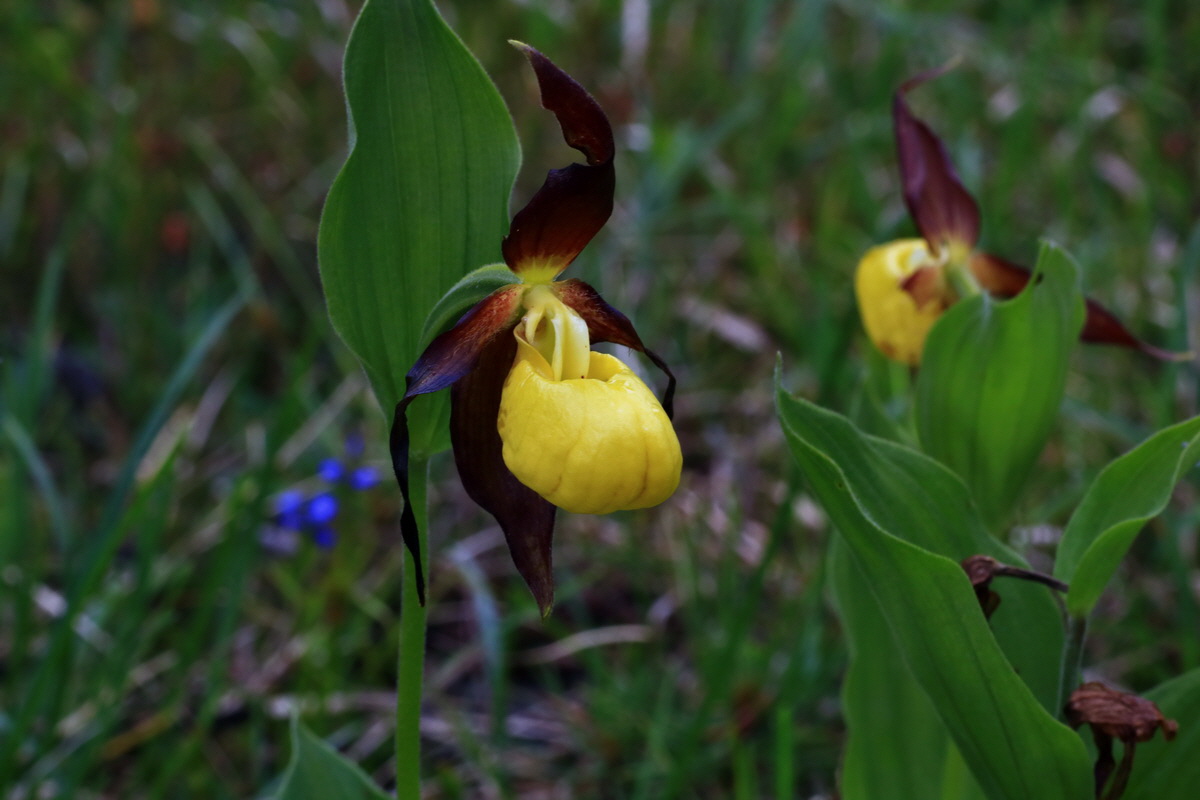 2015_06_16_003547p_Bildgr��e �ndern