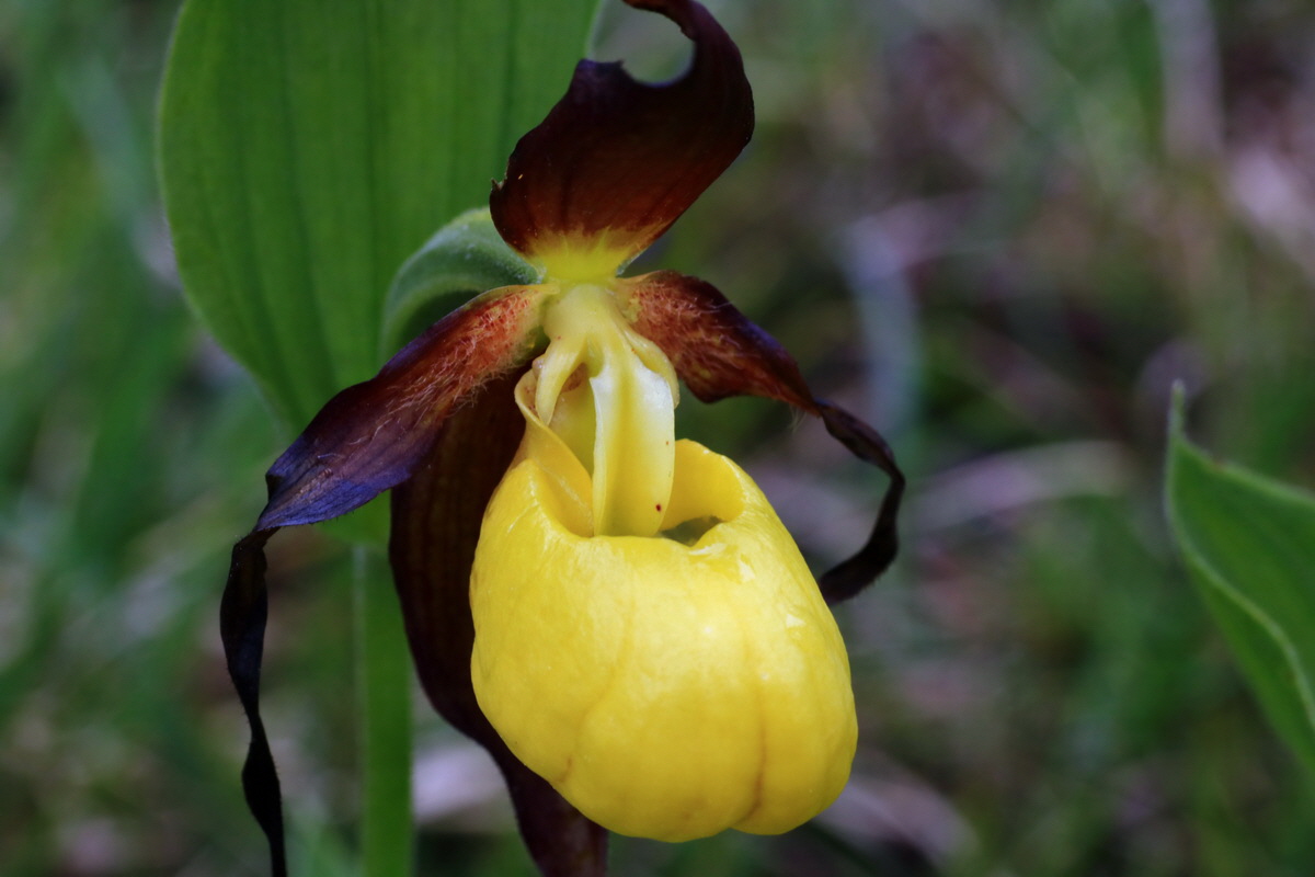 2015_06_16_003550p_Bildgr��e �ndern