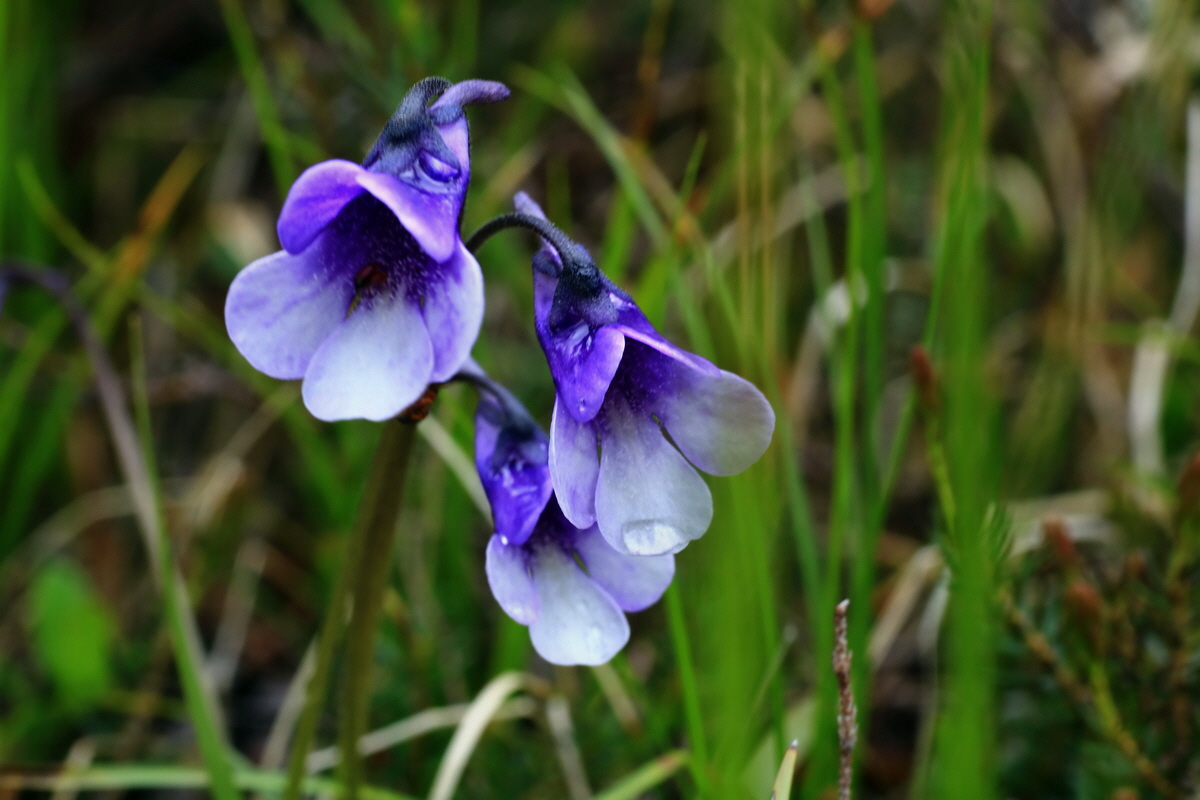 2015_06_16_003556p_Bildgr��e �ndern