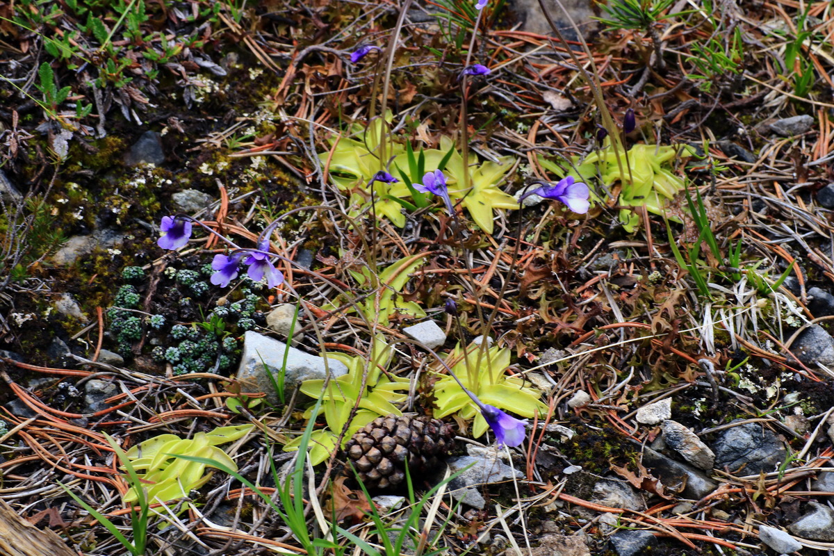 2015_06_16_003559p_Bildgr��e �ndern