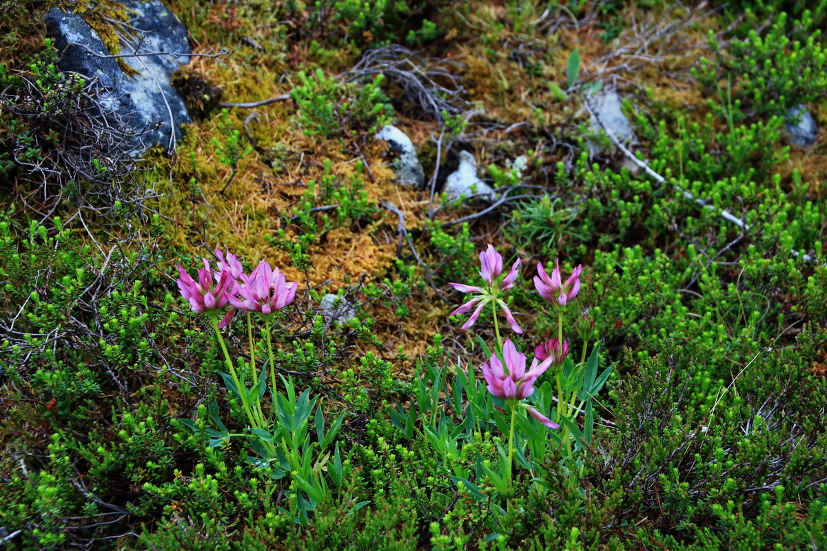 2015_06_17_003572p_Bildgr��e �ndern