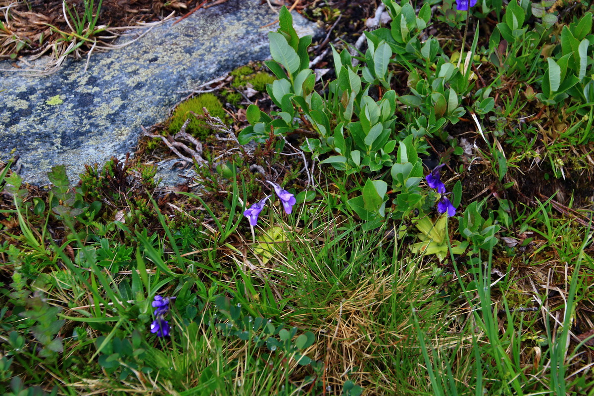 2015_06_17_003574p_Bildgr��e �ndern